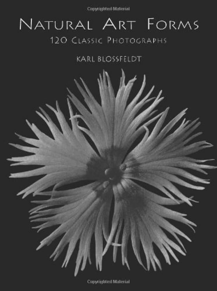 アート・デザイン・音楽 90s Karl Blossfeldt art book 90s Karl Blossfeldt art book